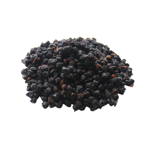 Elderberry (Sambucus nigra)