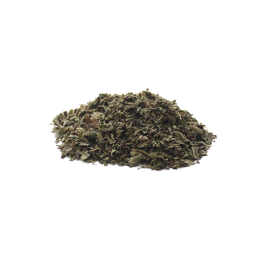 Lemon Balm (Melissa officinalis)