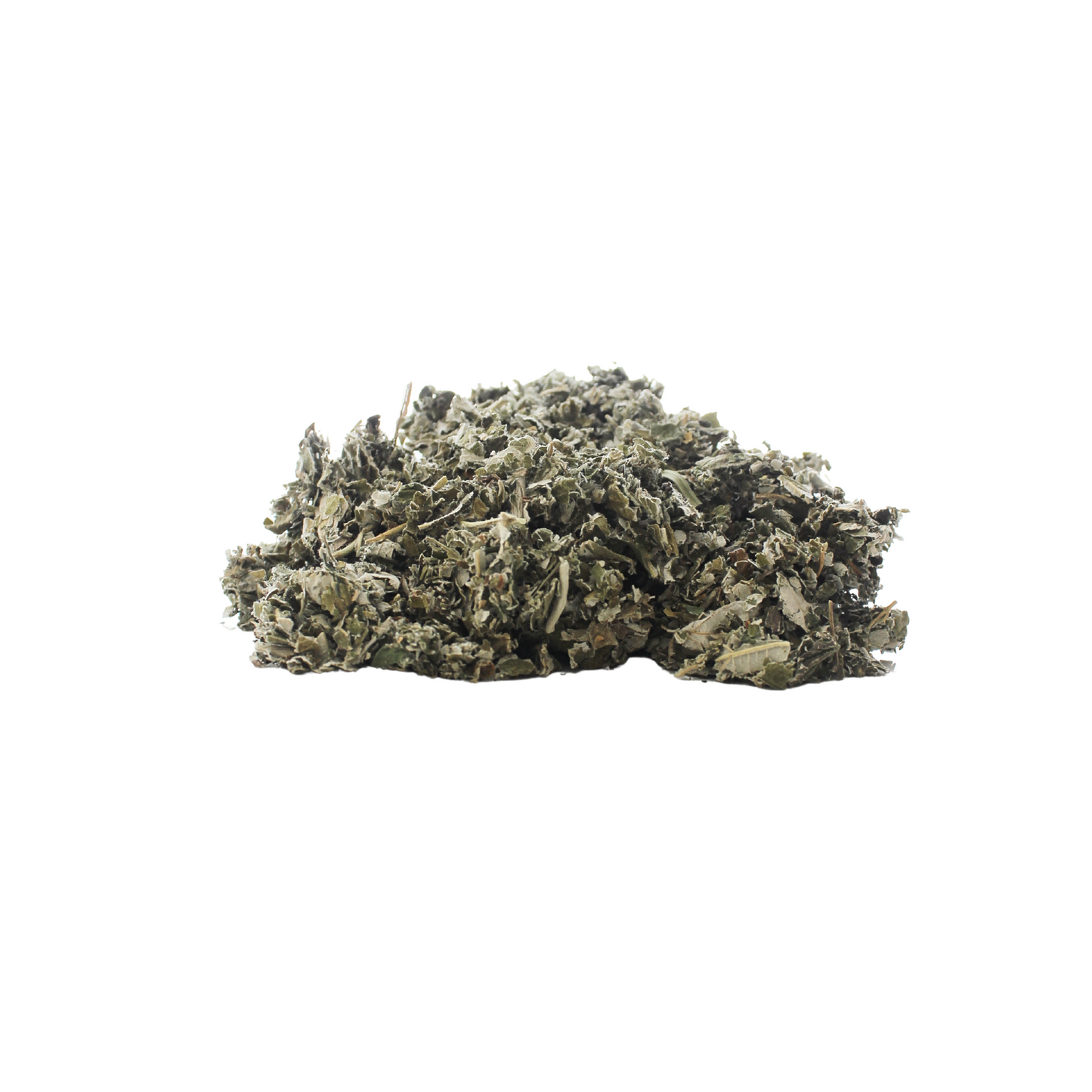 Feuille de framboisier (Rubus idaeus)