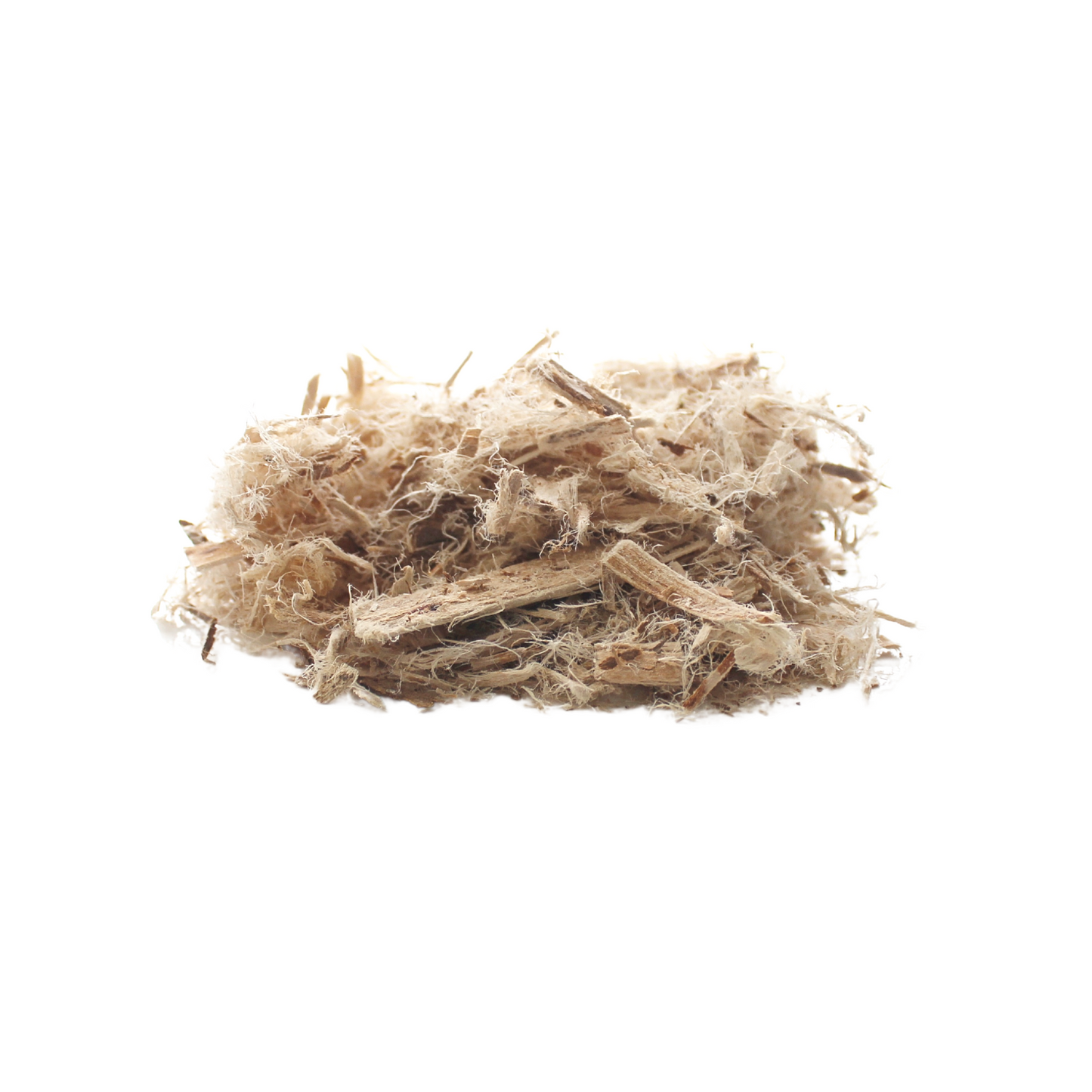 Slippery Elm (Ulmus rubra)