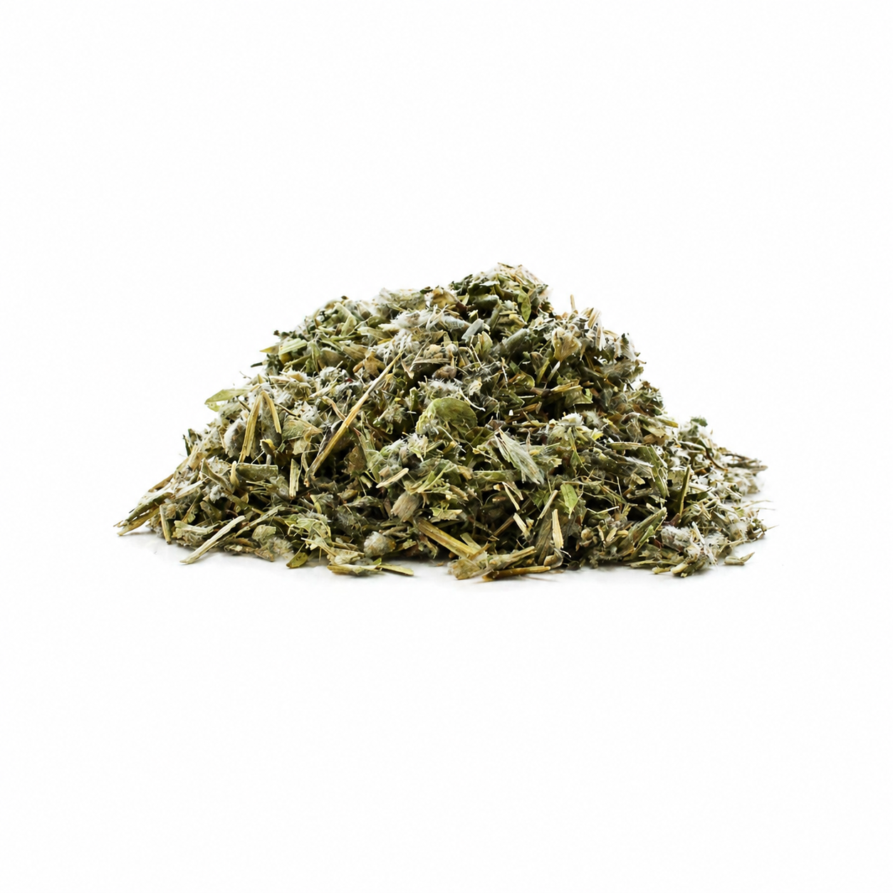 Greek Mountain Tea (Sideritis syriaca)