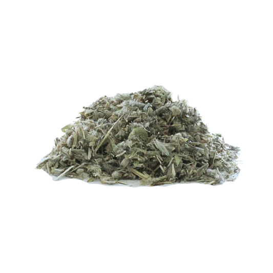 Greek Mountain Tea (Sideritis syriaca)