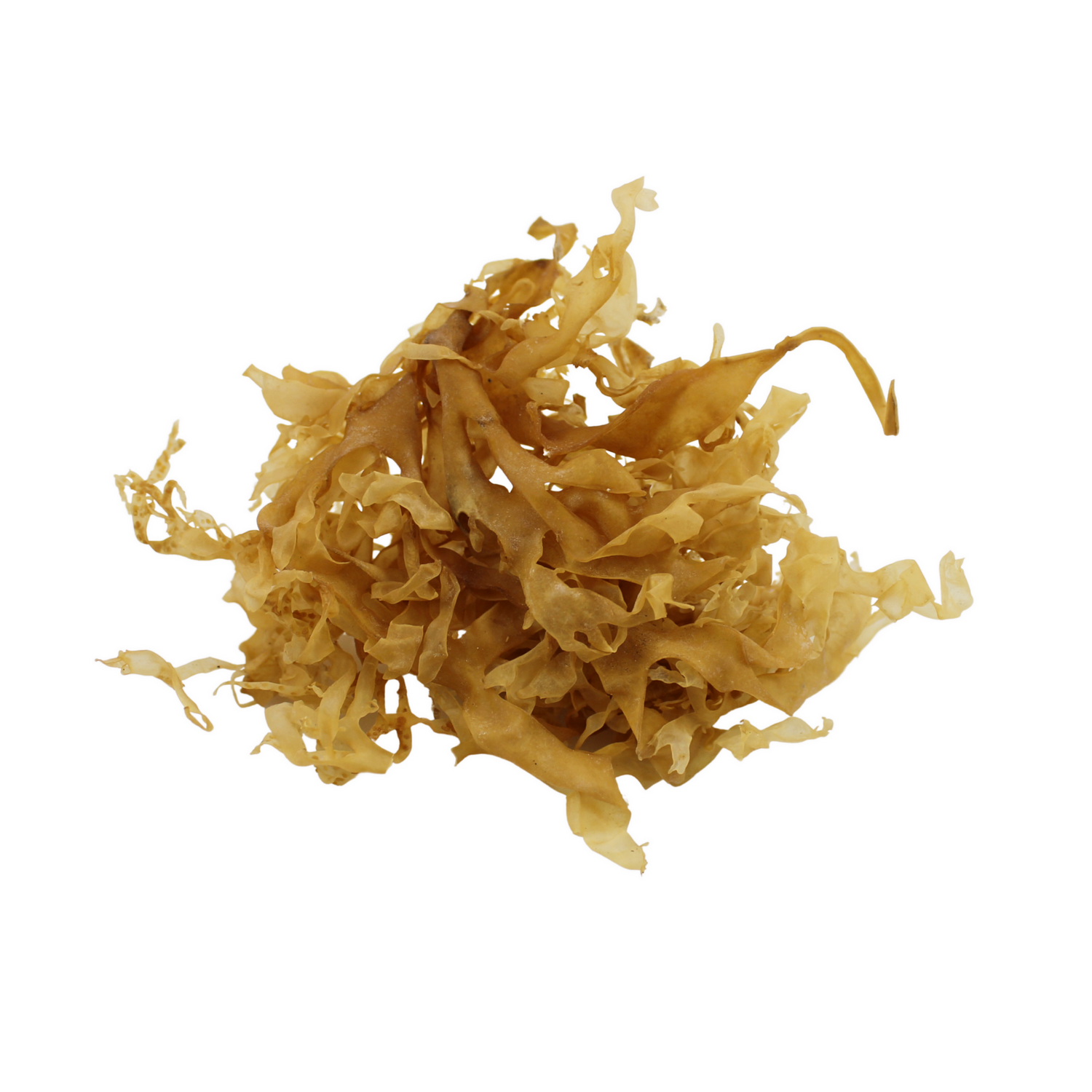 Dried Herbs & Botanicals